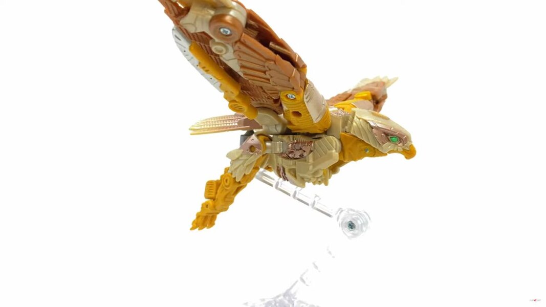 Image Of Rise Of The Beasts Studio Series Airazor Toy  (25 of 55)